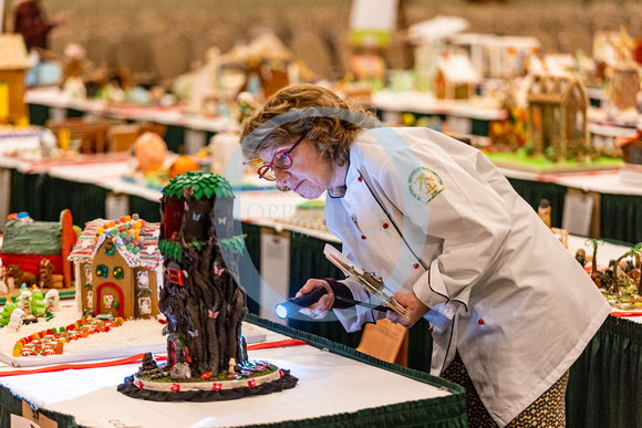 National Gingerbread Competition 2022 Judging- 004